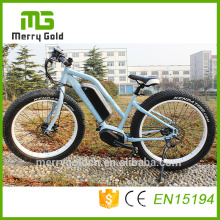 Disc Brake Ebike 48V 350W Fat Tyre Electric Bike Bicycle